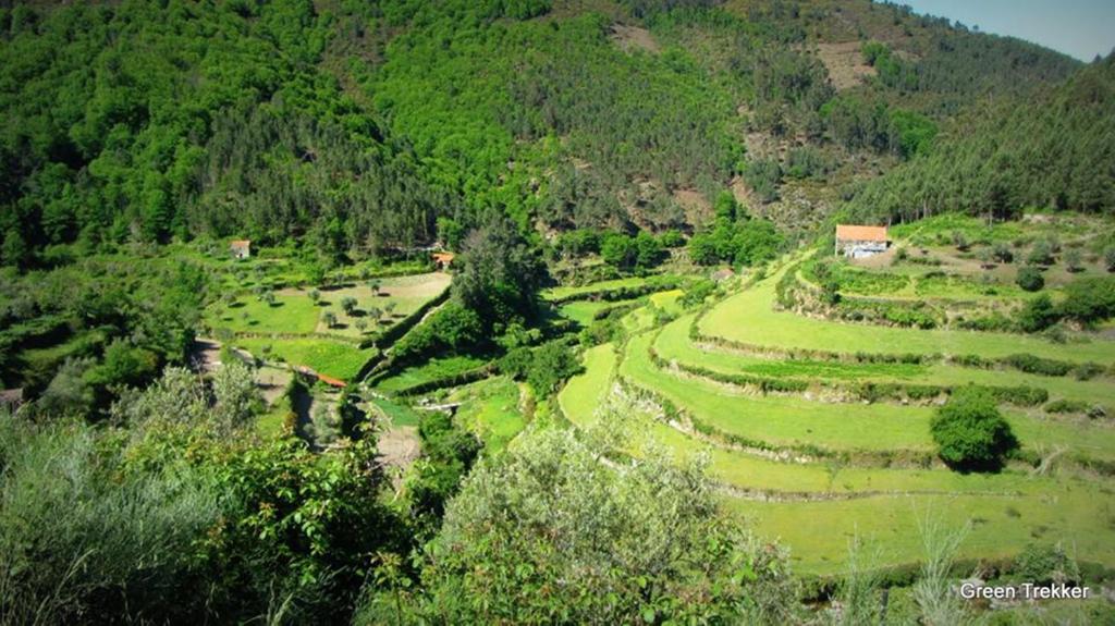 Bed and Breakfast O Vicente Loriga Exterior foto